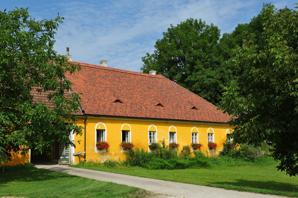 Campingplatz Finsterhof - Sommer am Finsterhof - ein Teil des Daches wurde heuer erneuert