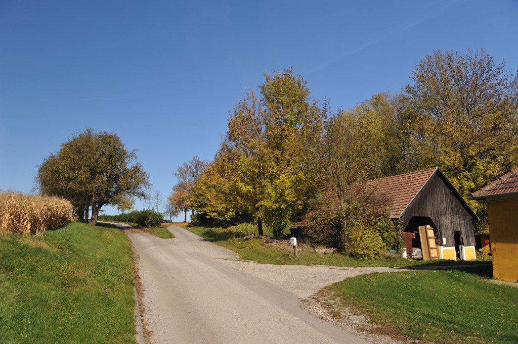 Campingplatz Finsterhof - Zufahrt zu unseren Stellplätzen