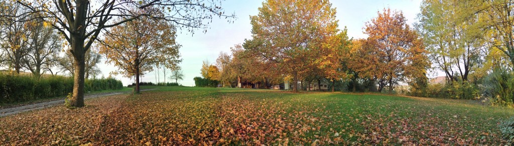 Campingplatz Finsterhof - eine Panoramaansicht unseres Stellplatzes für Sie (Herbst)